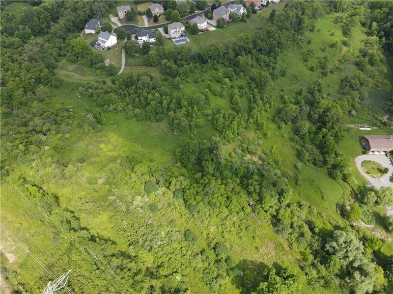 7549 Franklin Road Cranberry Township, PA 16066 - Photo 2 of 16 a view of a plant in a garden