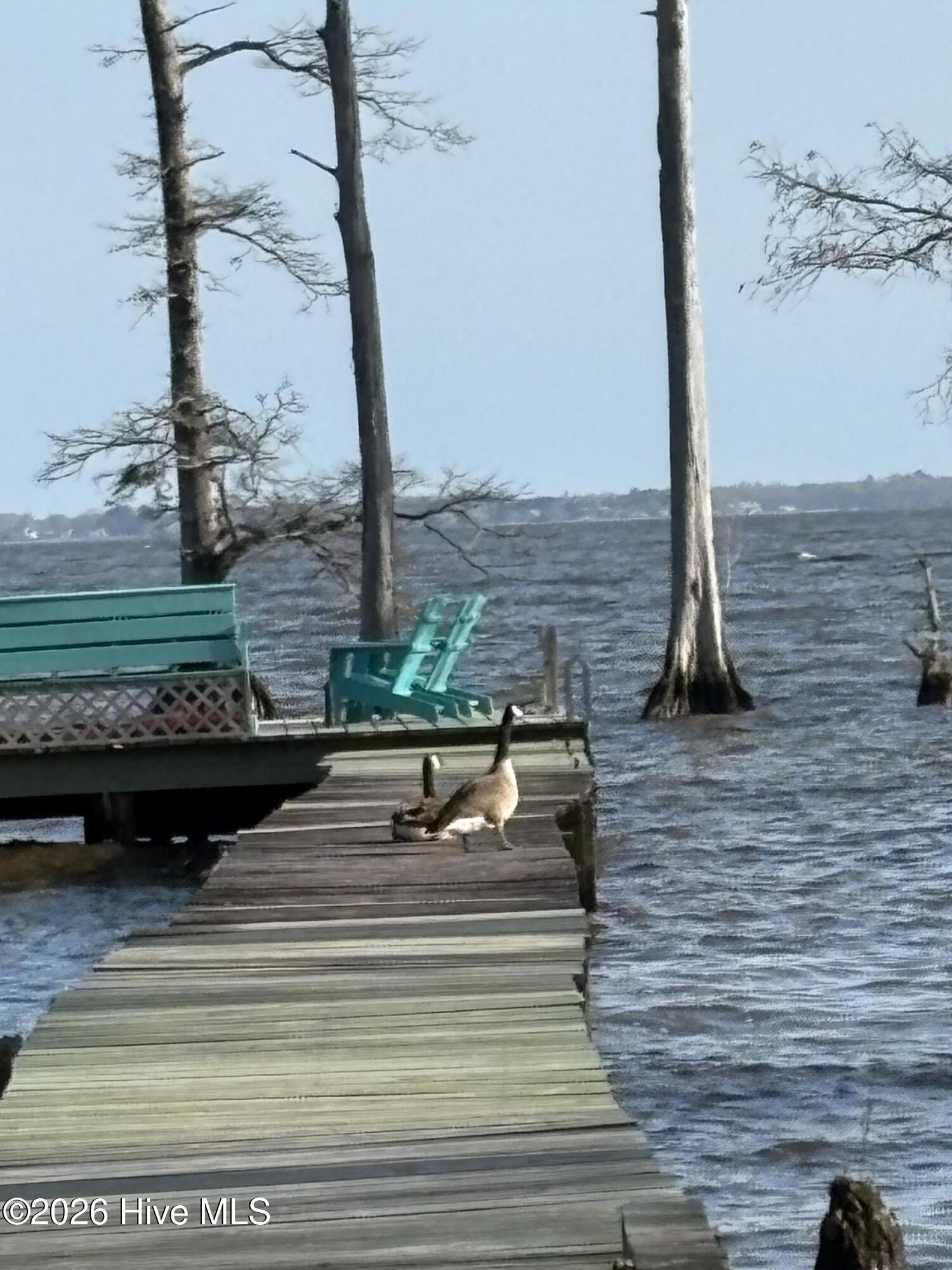 380 Beech Bay Road Roper, NC 27970 - Photo 80 of 85 Seller photo