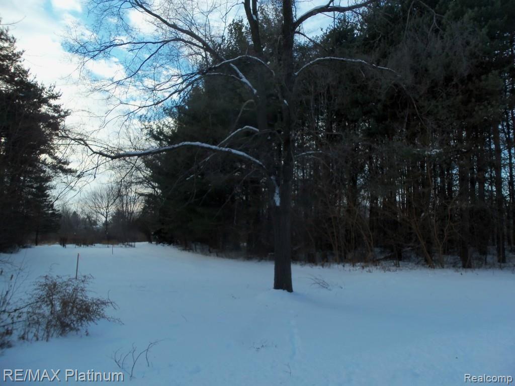 Parcel A Parcel A Roberts Drive Fenton, MI 48430 - Photo 1 of 4
