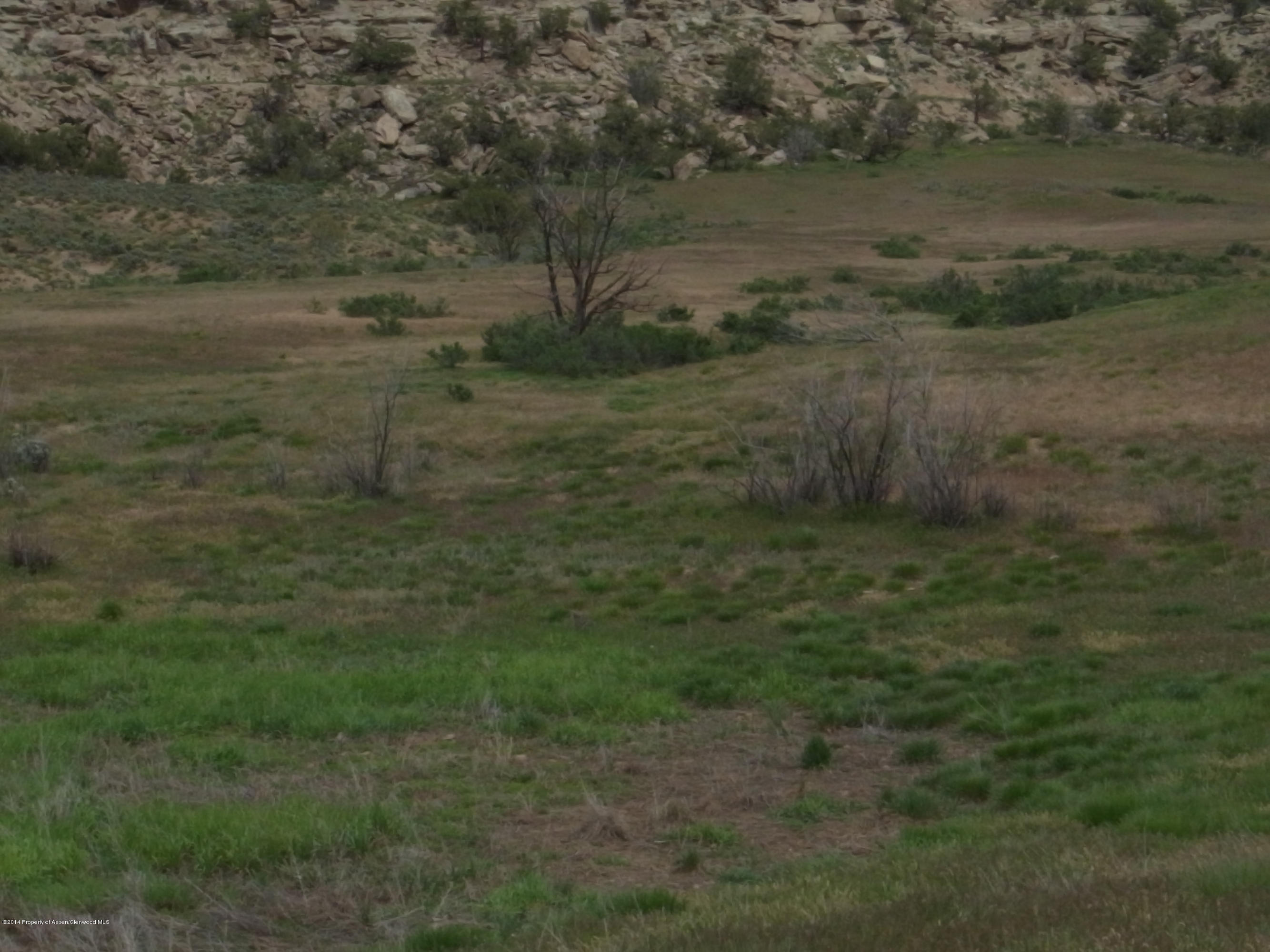 331 Dry Hollow Road Silt, CO 81652 - Photo 3 of 7 stephens 017