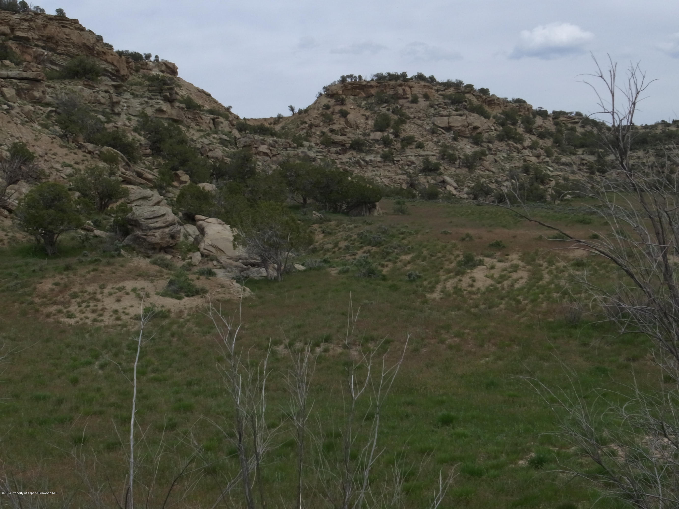 331 Dry Hollow Road Silt, CO 81652 - Photo 4 of 7 stephens 019
