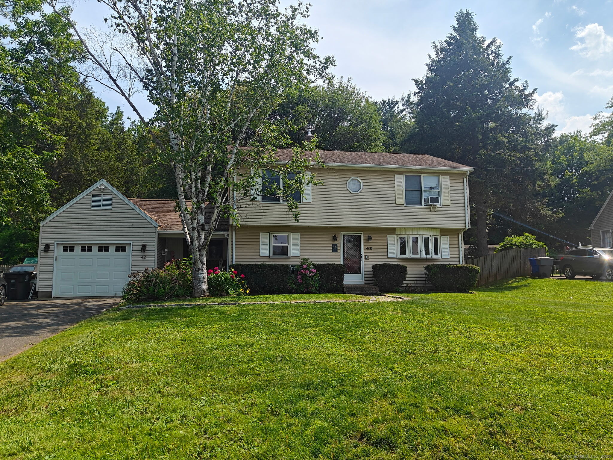 a view of a house with a big yard and a large tree