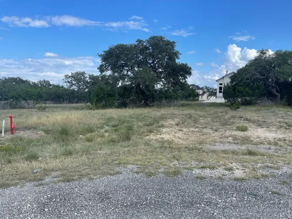 a view of a field with trees in background