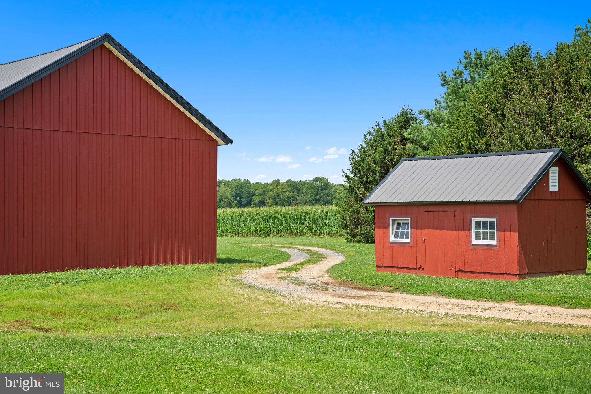 8184 Rock Hall Road Chestertown, MD 21620 - Photo 35 of 38 farm outbuildings