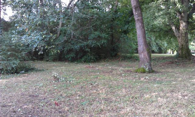 204 Ruby Street Winchester, TN 37398 - Photo 6 of 7