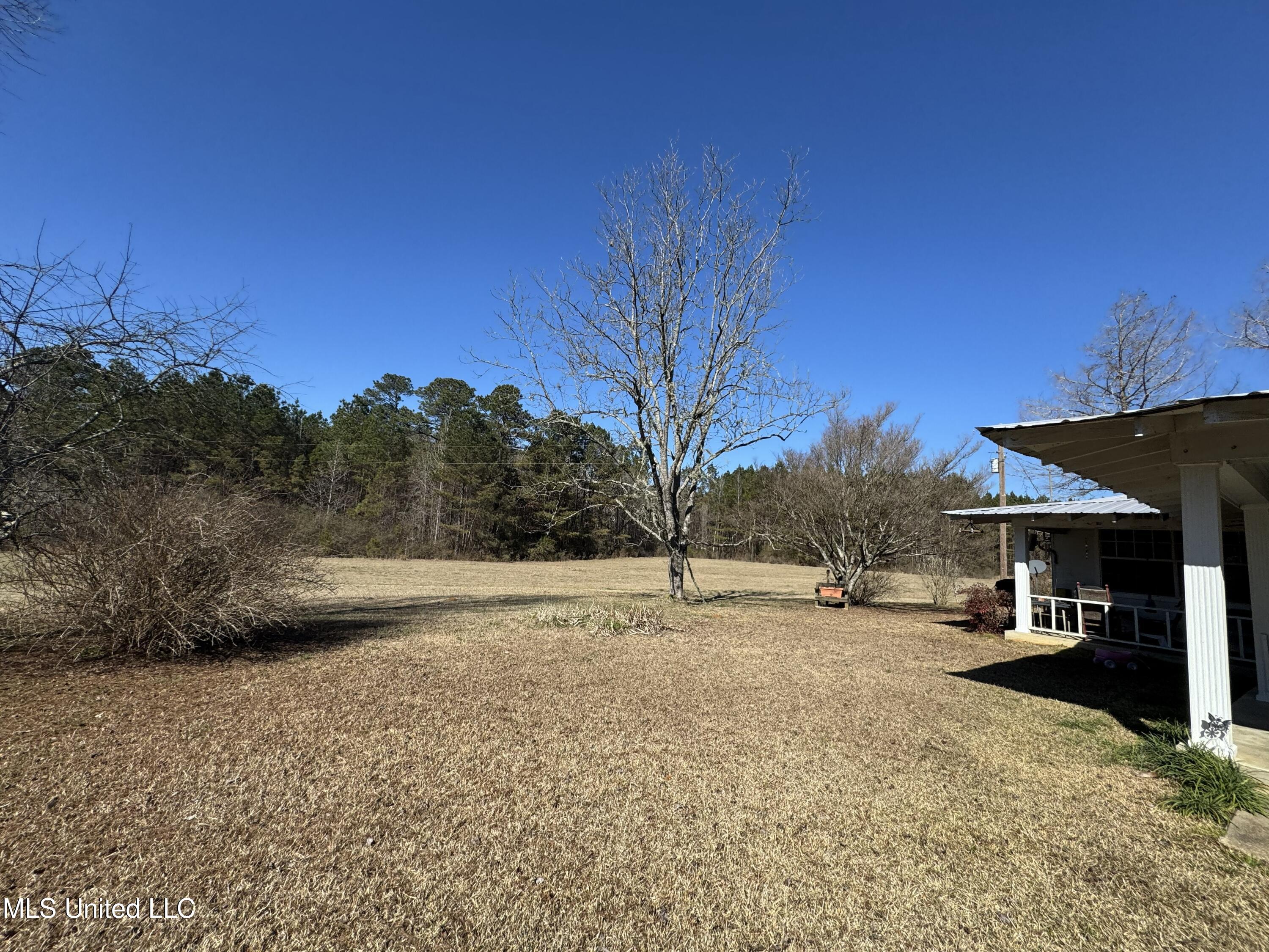 9182 Highway 397 Preston, MS 39354 - Photo 31 of 93 IMG_8279