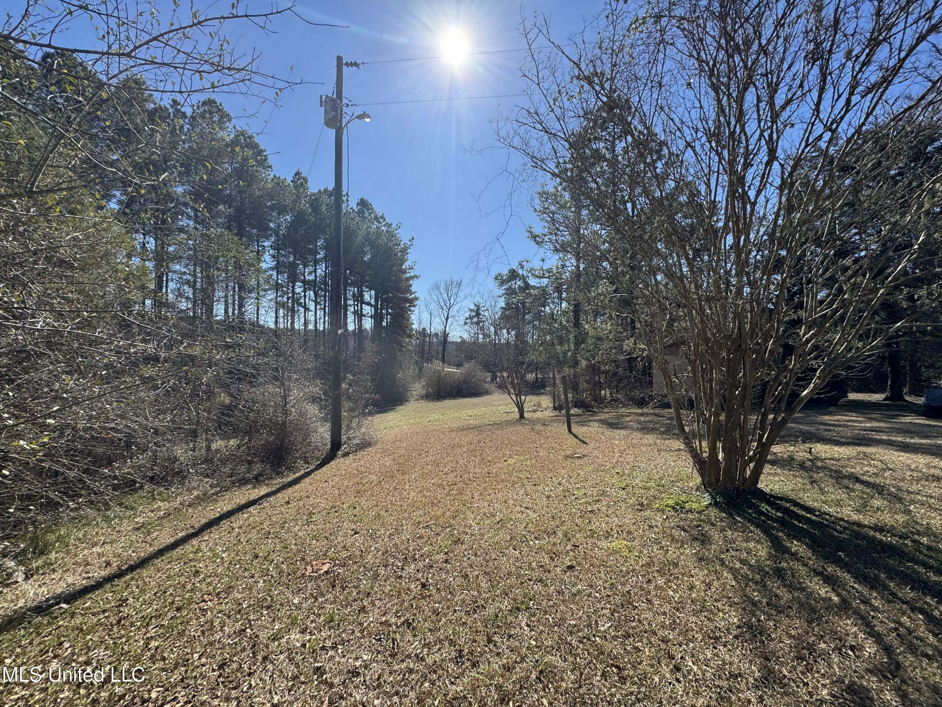 9182 Highway 397 Preston, MS 39354 - Photo 33 of 93 IMG_8275