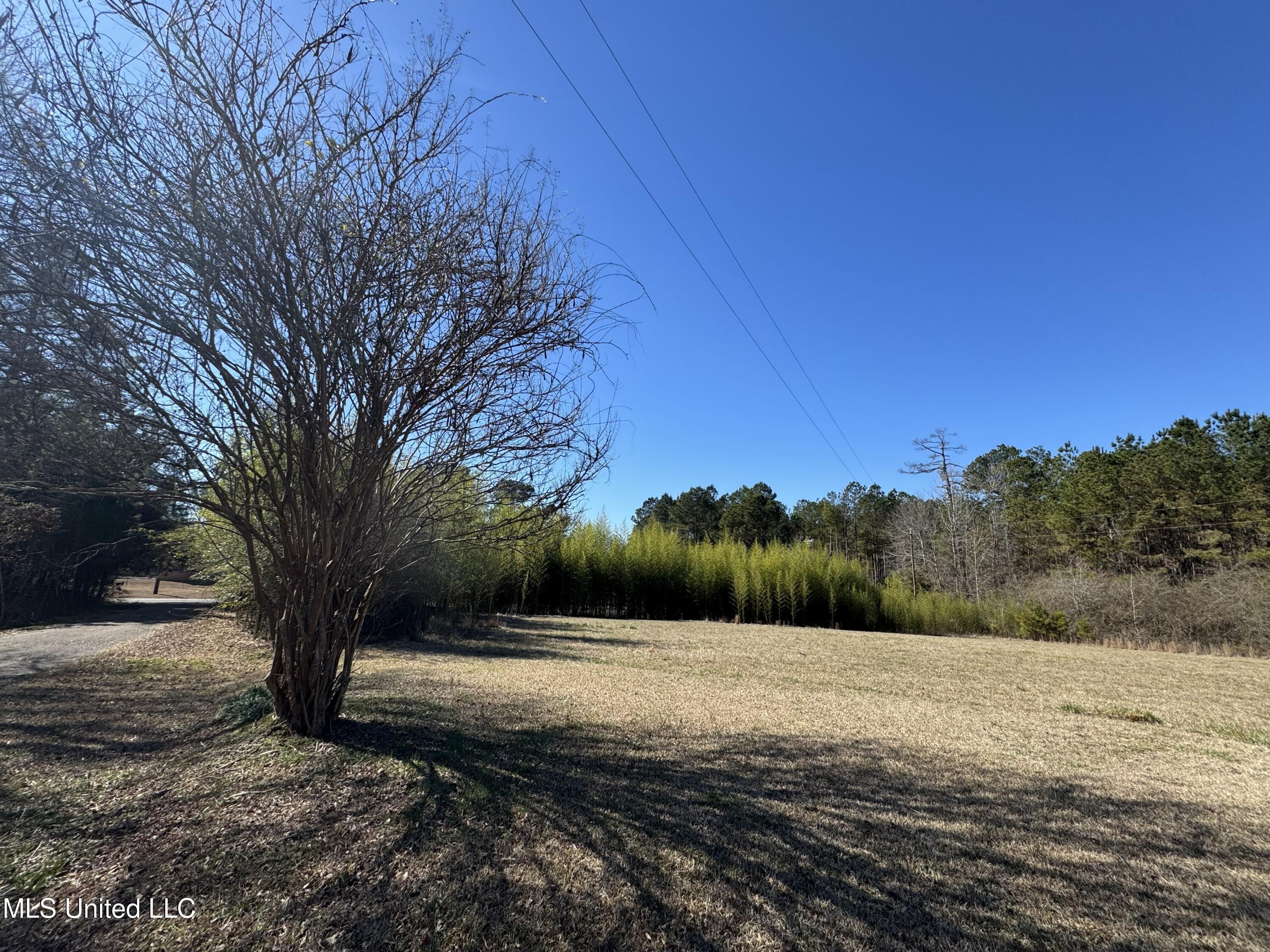 9182 Highway 397 Preston, MS 39354 - Photo 34 of 93 IMG_8277