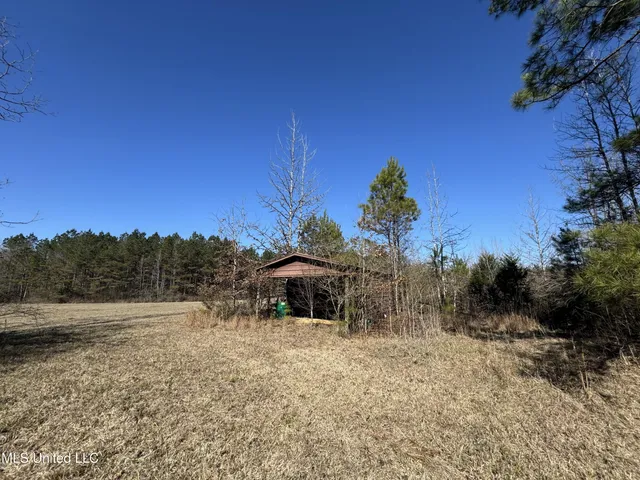 $230,000 | 9182 Highway 397, Preston, MS 39354