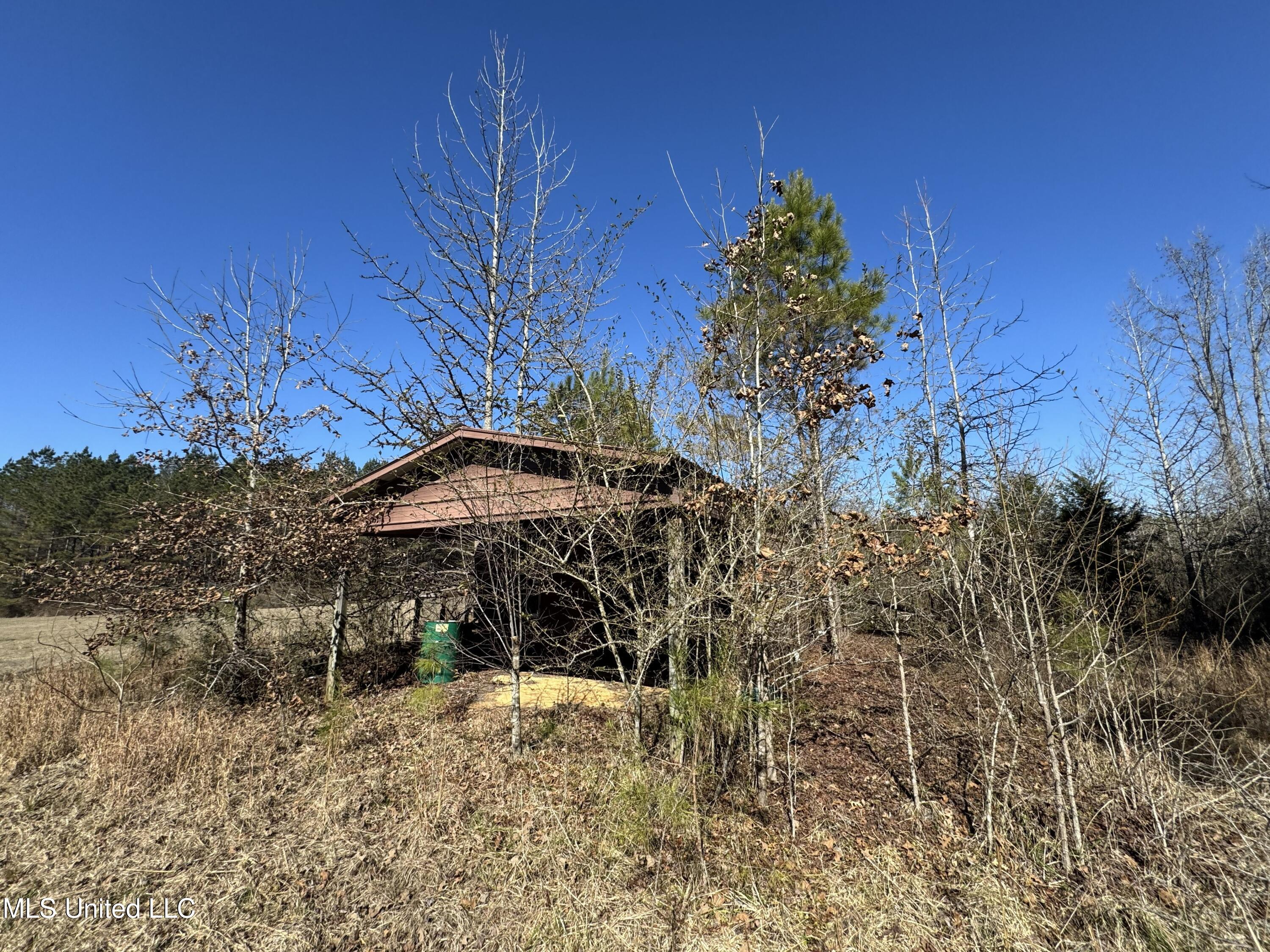 9182 Highway 397 Preston, MS 39354 - Photo 36 of 93 IMG_8258