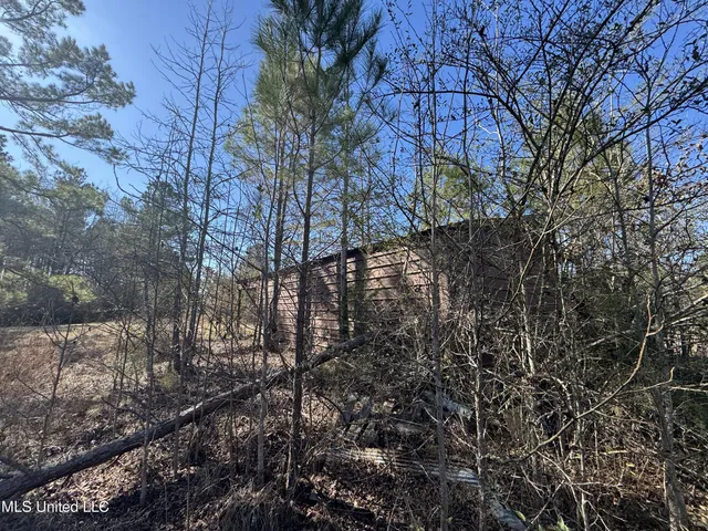 $230,000 | 9182 Highway 397, Preston, MS 39354
