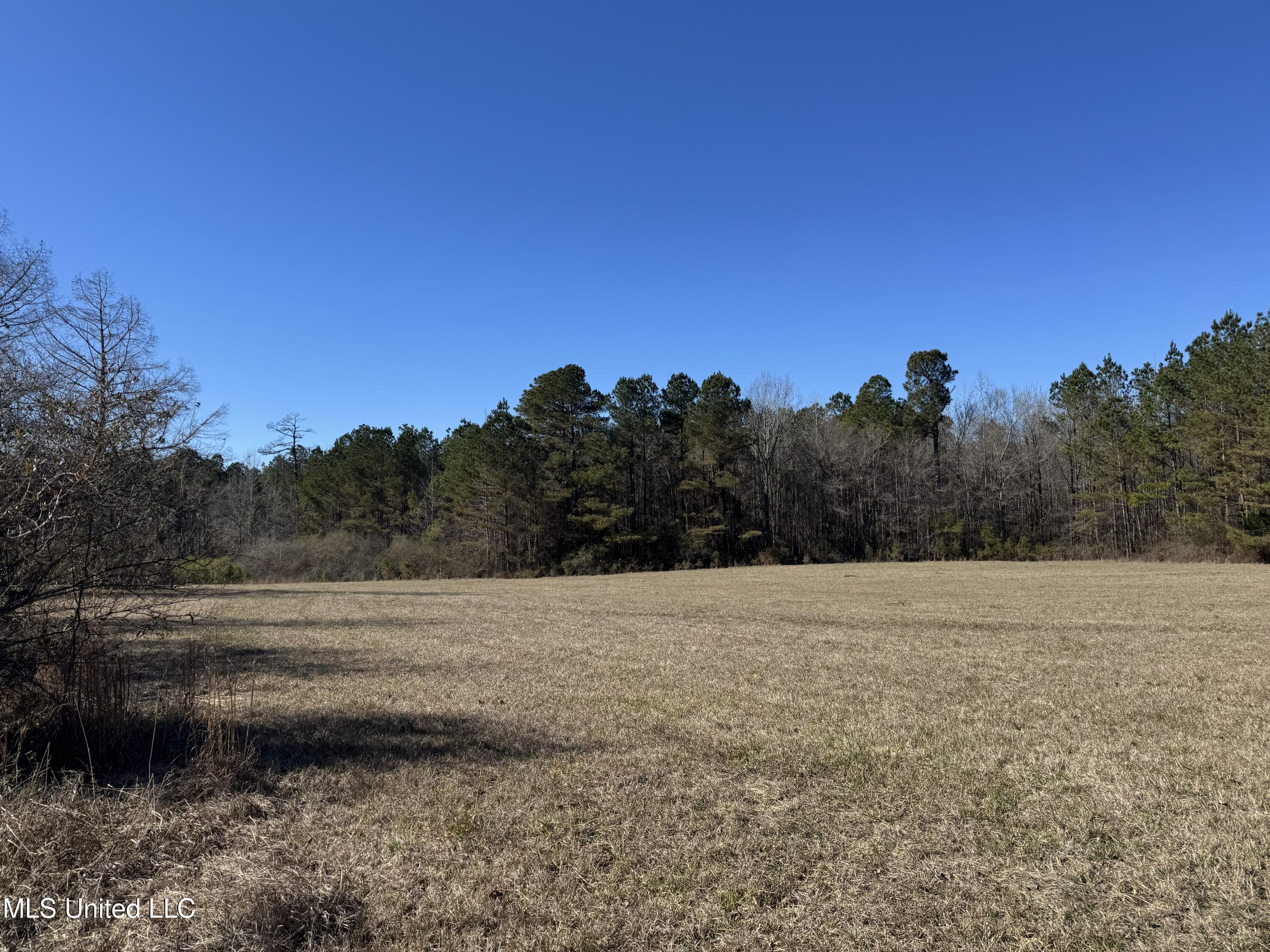 9182 Highway 397 Preston, MS 39354 - Photo 39 of 93 IMG_8263