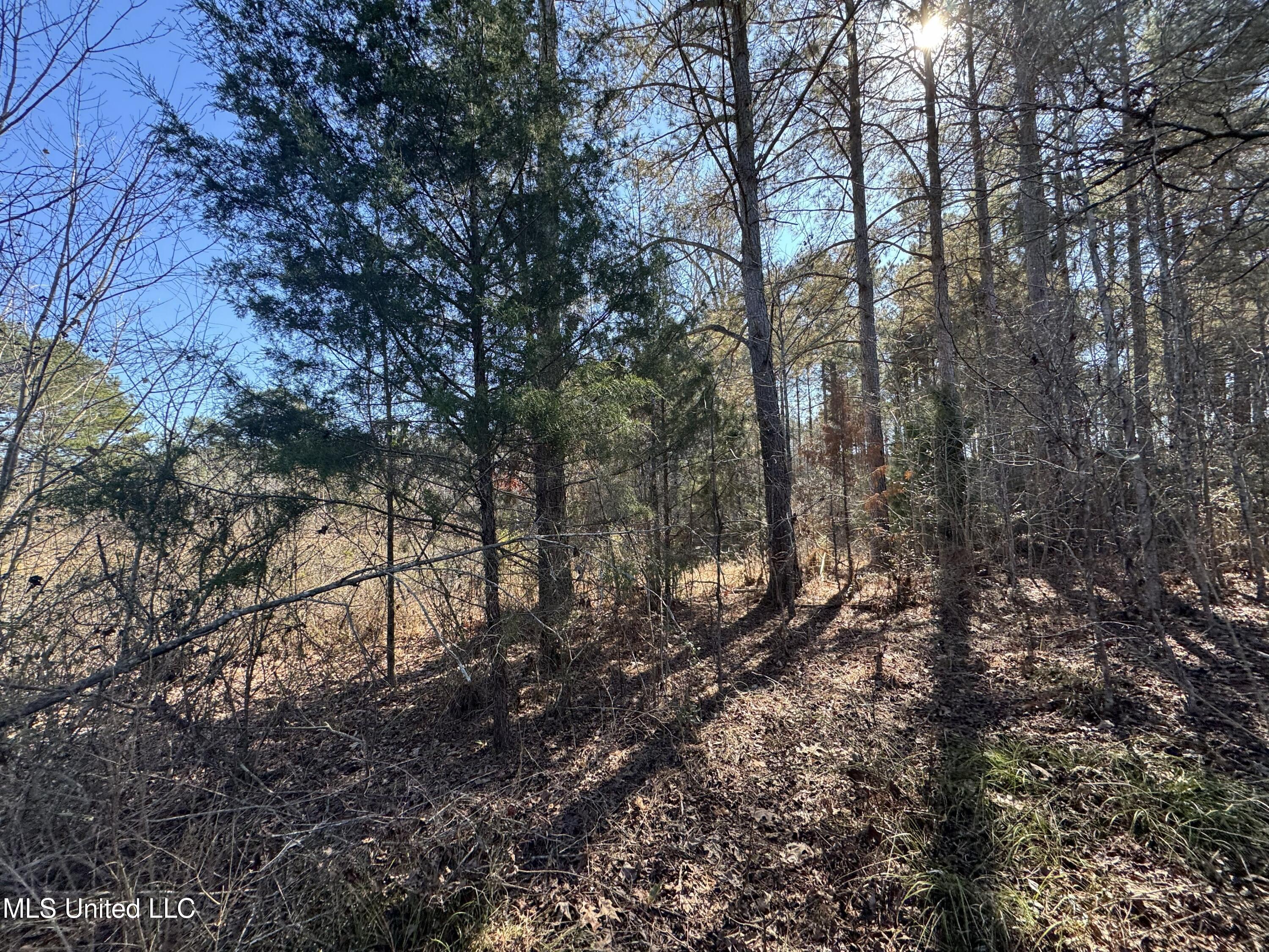 9182 Highway 397 Preston, MS 39354 - Photo 43 of 93 IMG_8176