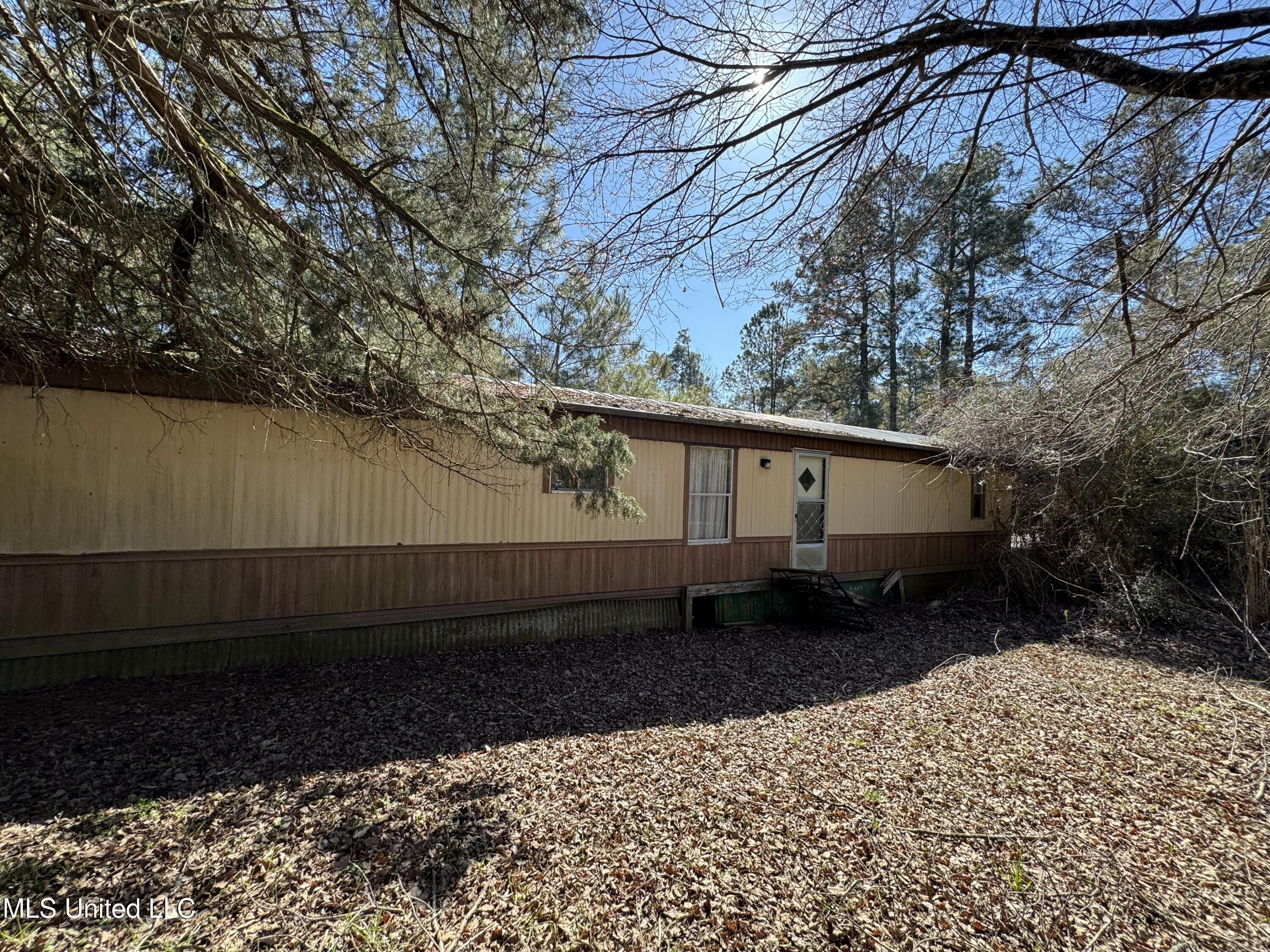 9182 Highway 397 Preston, MS 39354 - Photo 46 of 93 IMG_8287