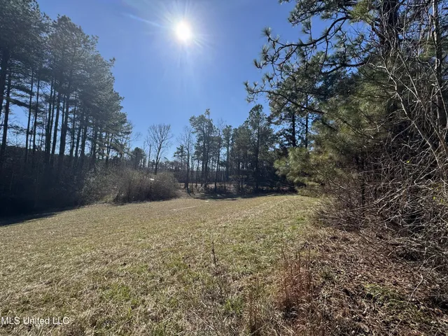 $230,000 | 9182 Highway 397, Preston, MS 39354