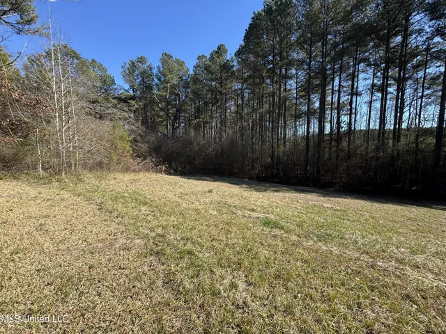 $230,000 | 9182 Highway 397, Preston, MS 39354