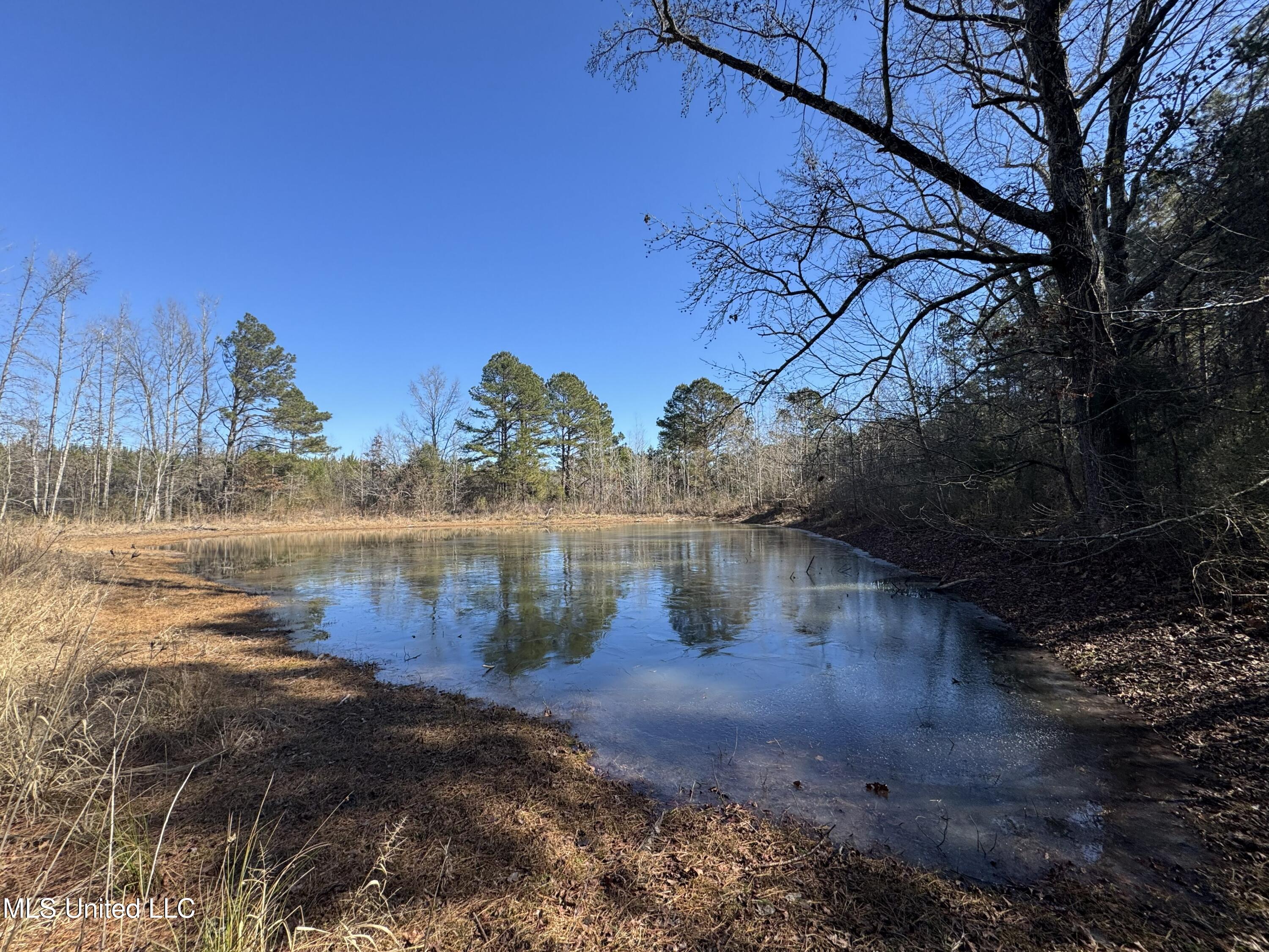 9182 Highway 397 Preston, MS 39354 - Photo 51 of 93 IMG_8178