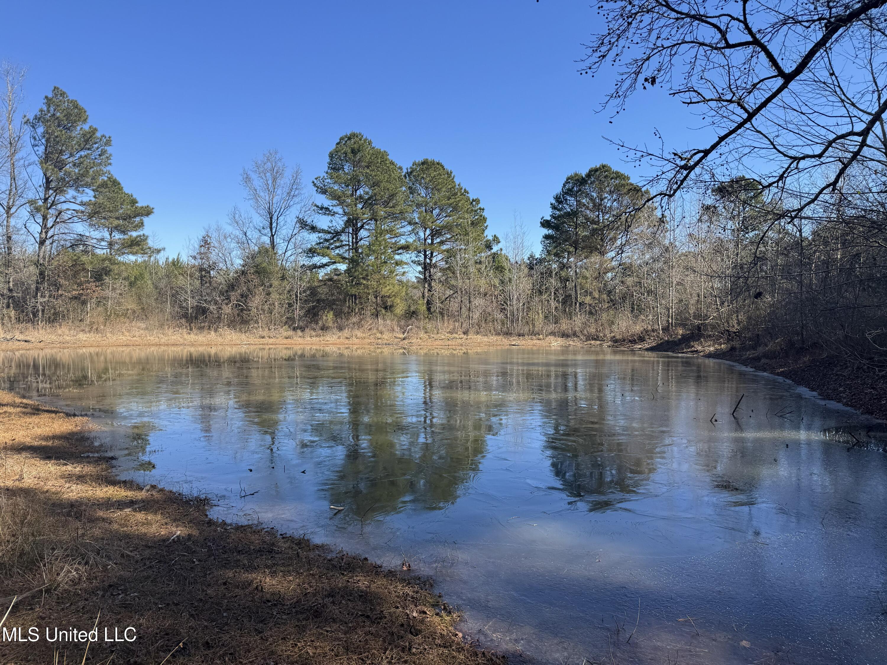 9182 Highway 397 Preston, MS 39354 - Photo 52 of 93 IMG_8179