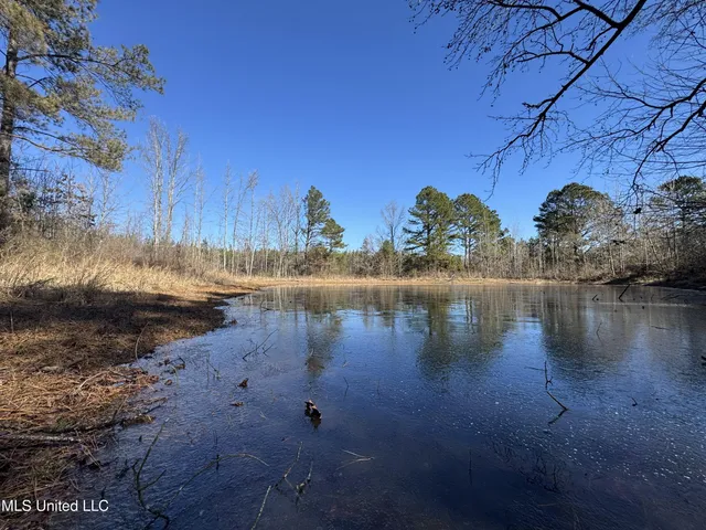$230,000 | 9182 Highway 397, Preston, MS 39354