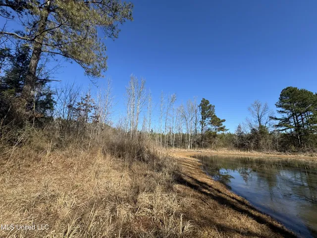 $230,000 | 9182 Highway 397, Preston, MS 39354