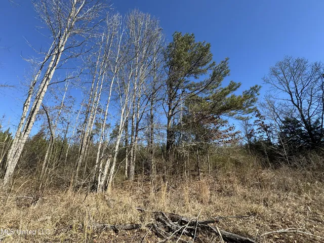 $230,000 | 9182 Highway 397, Preston, MS 39354