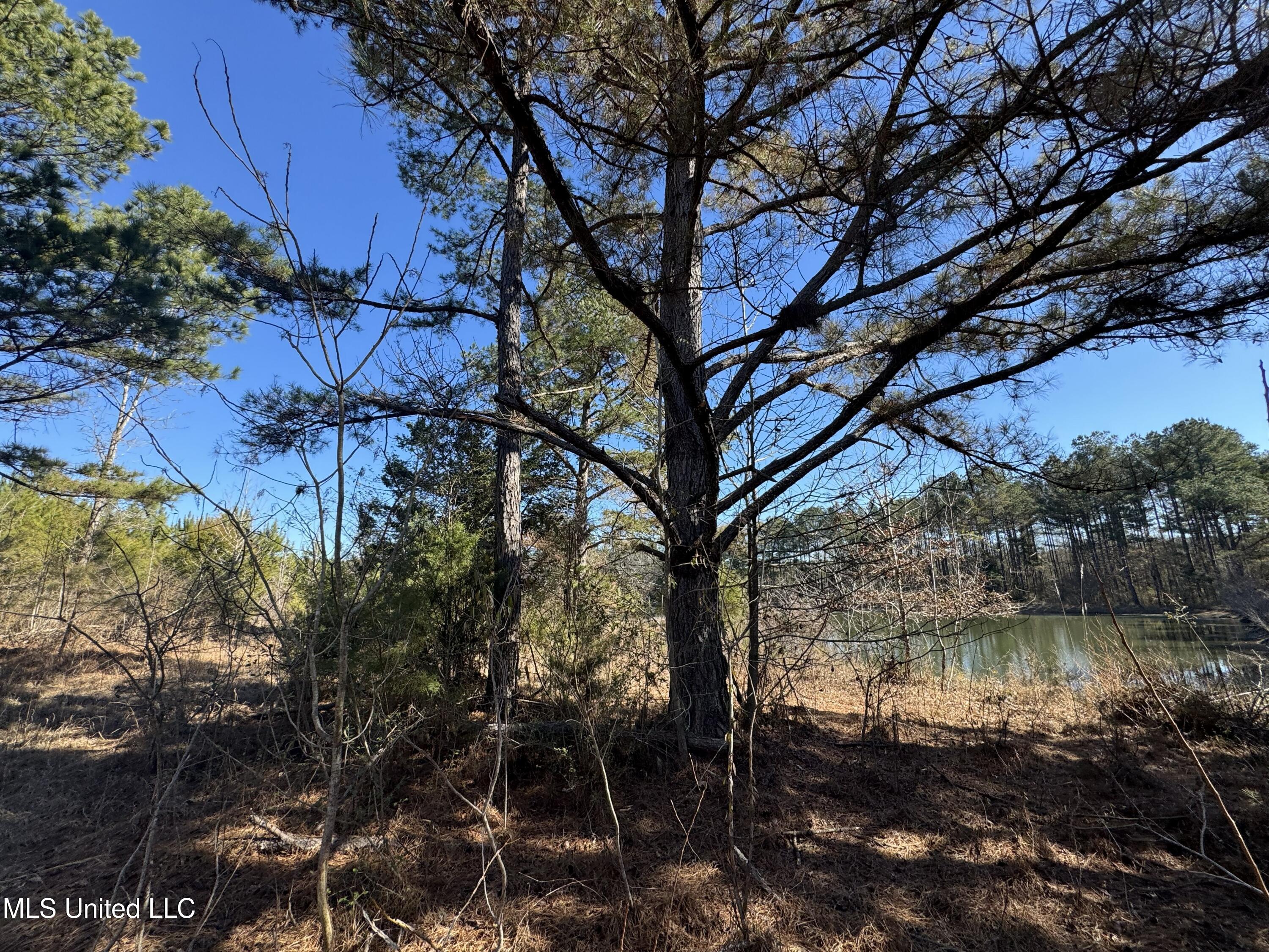 9182 Highway 397 Preston, MS 39354 - Photo 58 of 93 IMG_8190