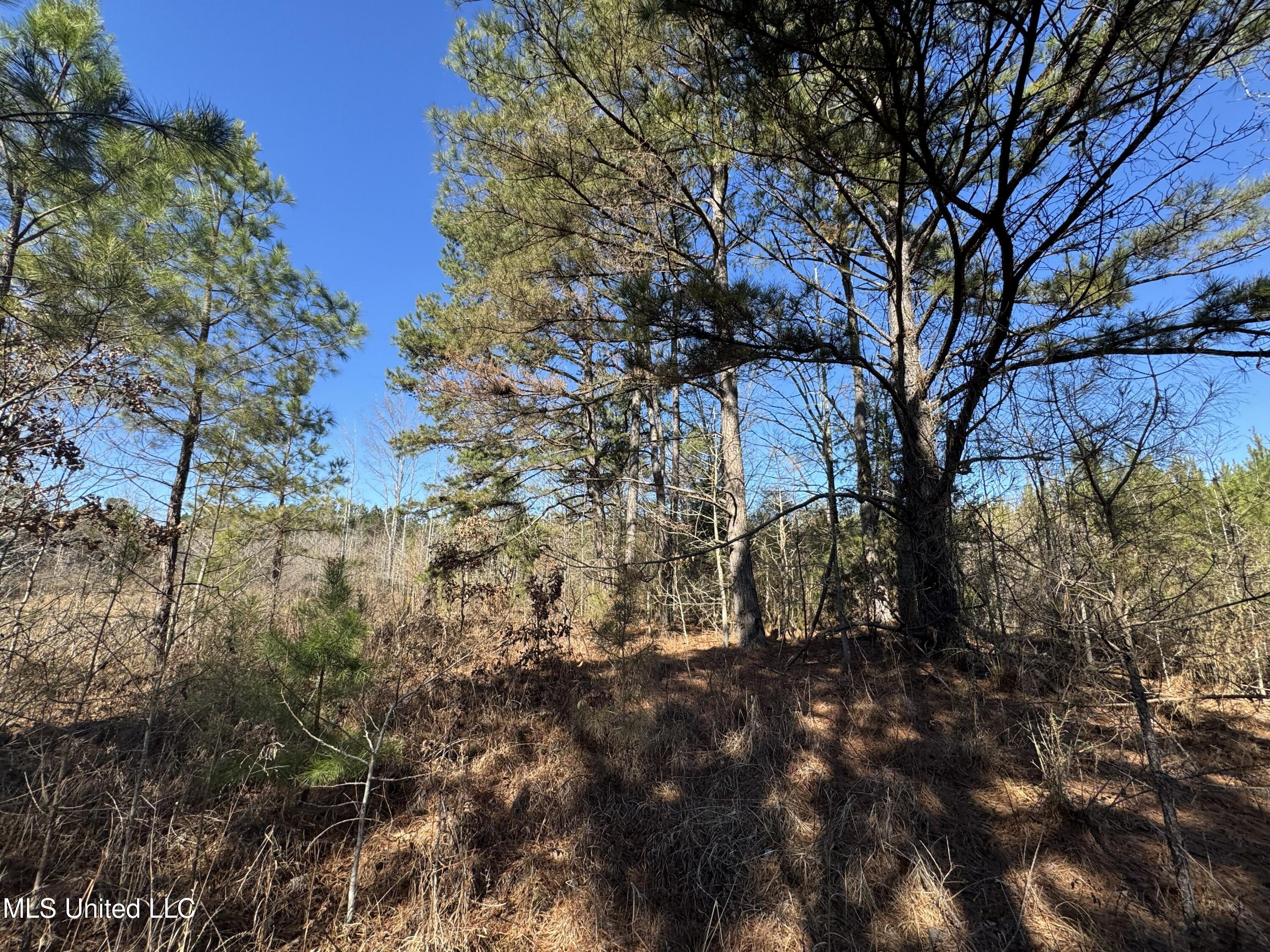 9182 Highway 397 Preston, MS 39354 - Photo 59 of 93 IMG_8193