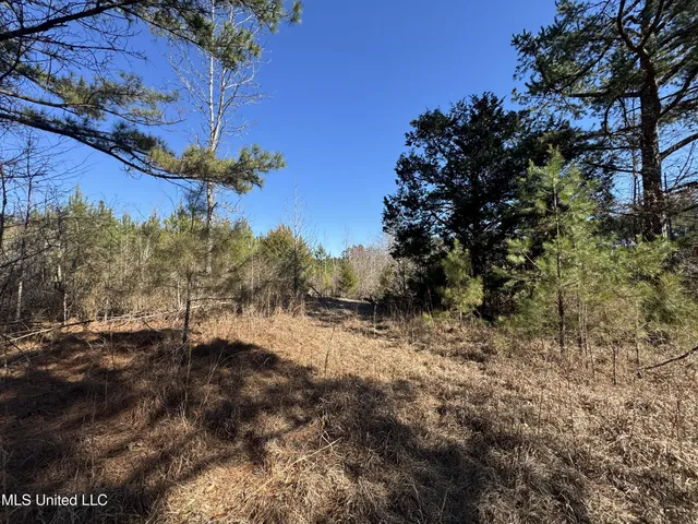 $230,000 | 9182 Highway 397, Preston, MS 39354