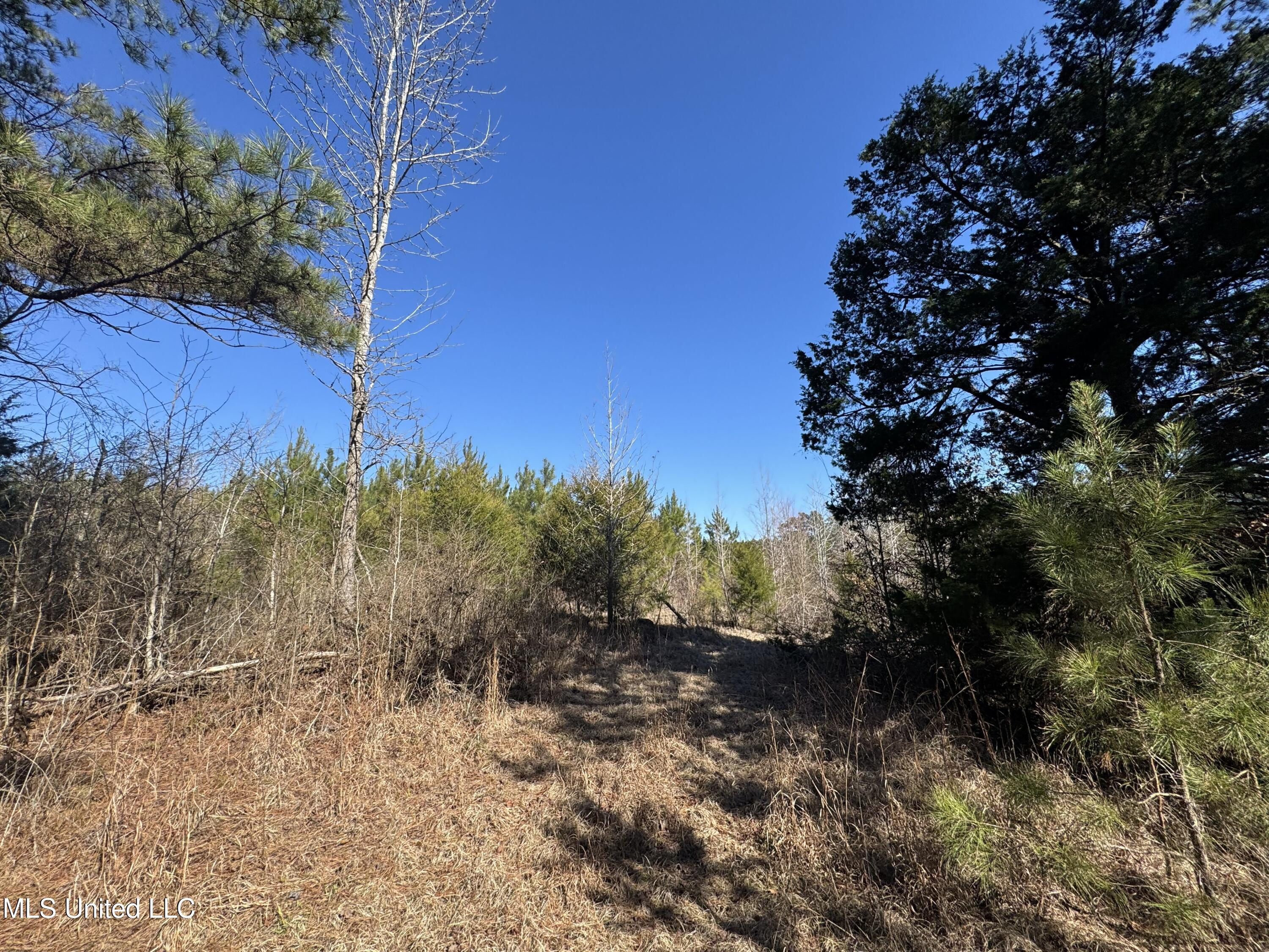 9182 Highway 397 Preston, MS 39354 - Photo 61 of 93 IMG_8195