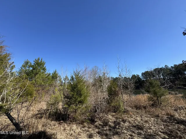 $230,000 | 9182 Highway 397, Preston, MS 39354