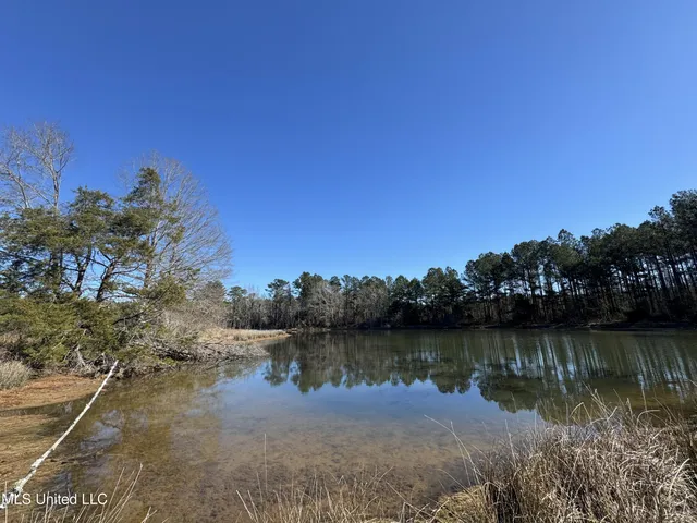 $230,000 | 9182 Highway 397, Preston, MS 39354