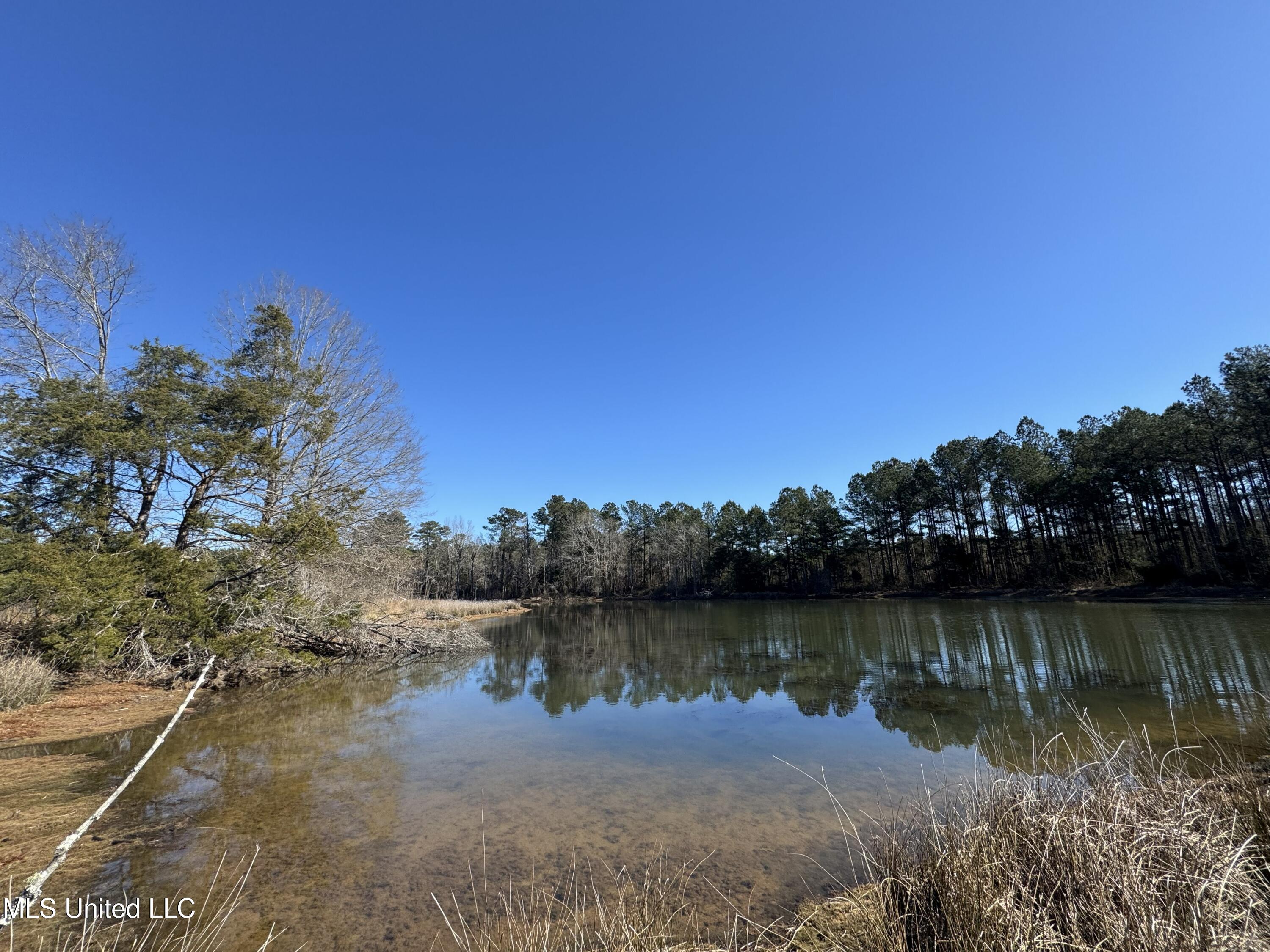 9182 Highway 397 Preston, MS 39354 - Photo 63 of 93 IMG_8207