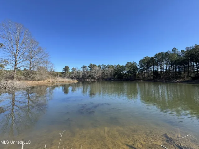 $230,000 | 9182 Highway 397, Preston, MS 39354