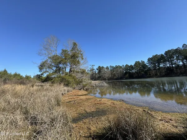 $230,000 | 9182 Highway 397, Preston, MS 39354