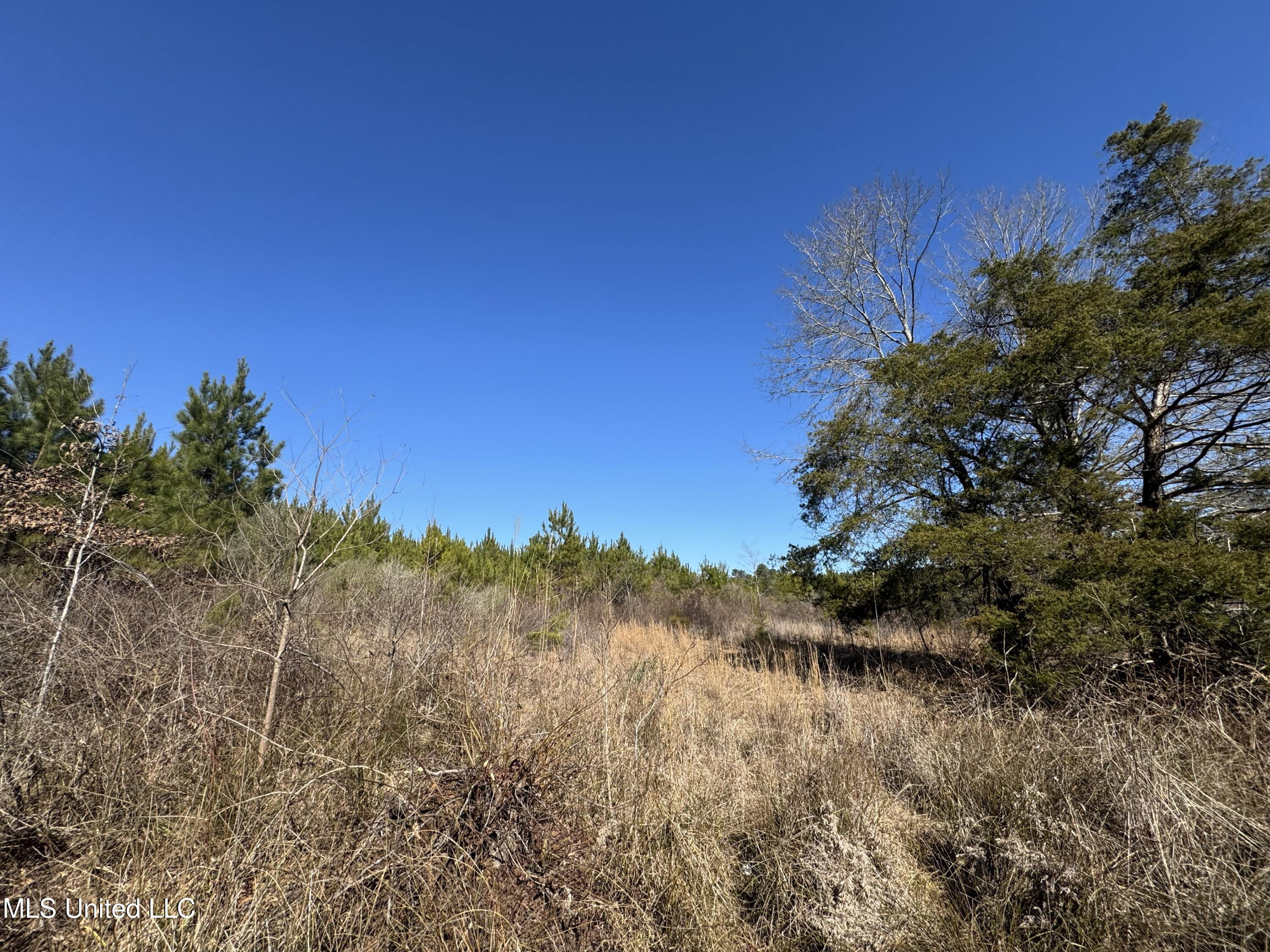 9182 Highway 397 Preston, MS 39354 - Photo 66 of 93 IMG_8213