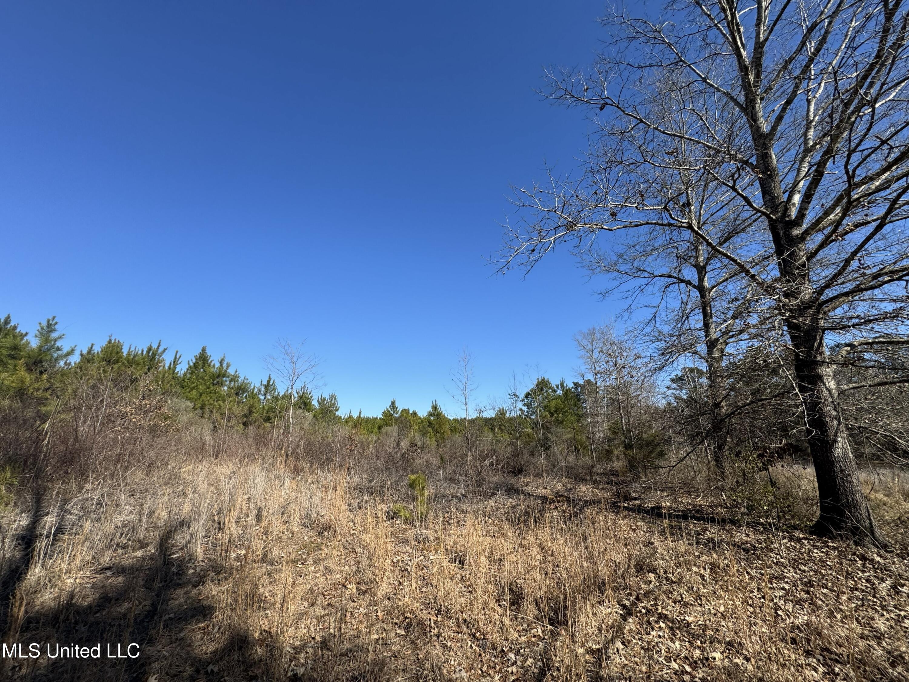 9182 Highway 397 Preston, MS 39354 - Photo 68 of 93 IMG_8216