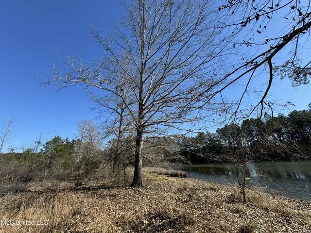 $230,000 | 9182 Highway 397, Preston, MS 39354