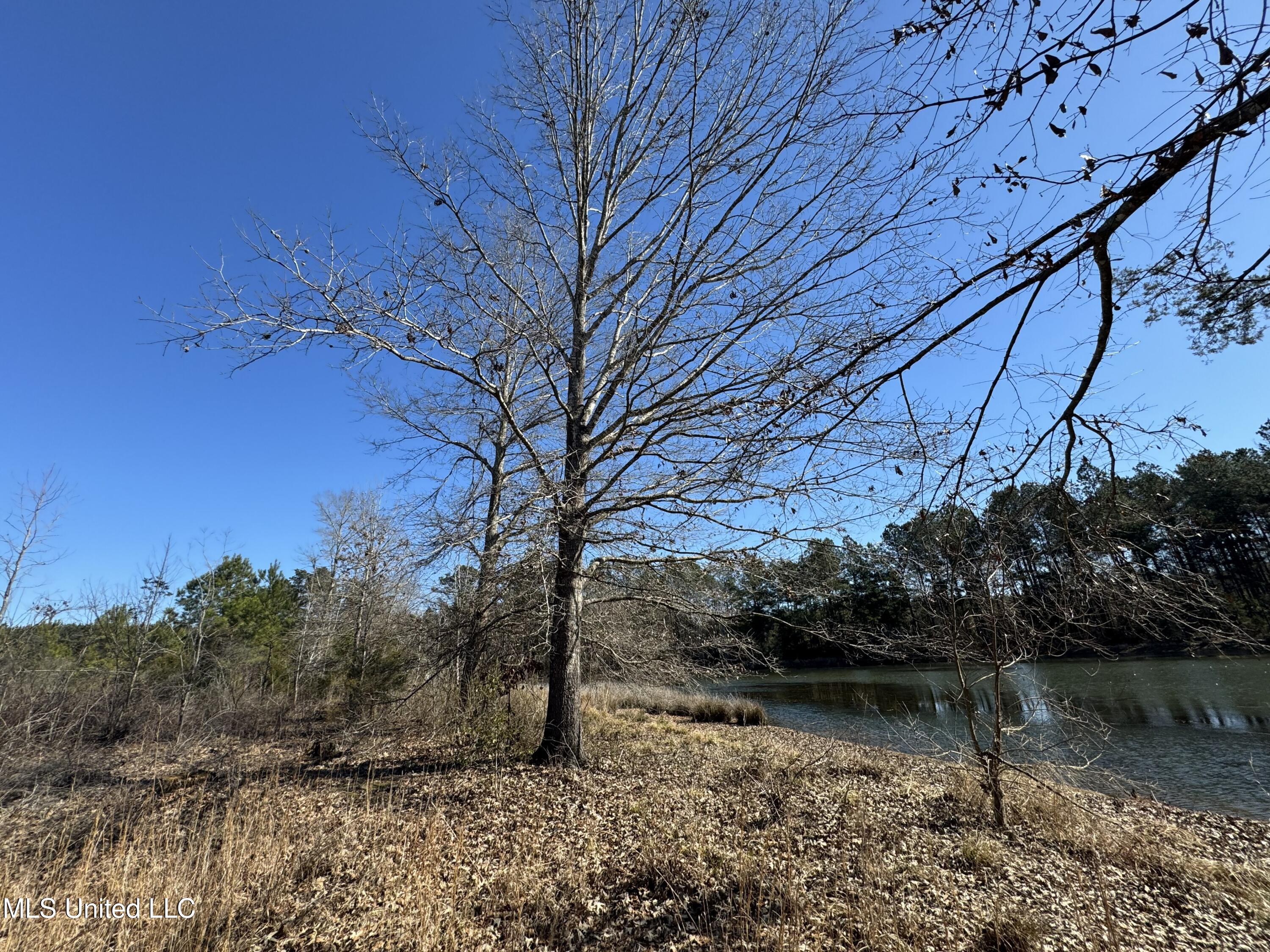 9182 Highway 397 Preston, MS 39354 - Photo 69 of 93 IMG_8217