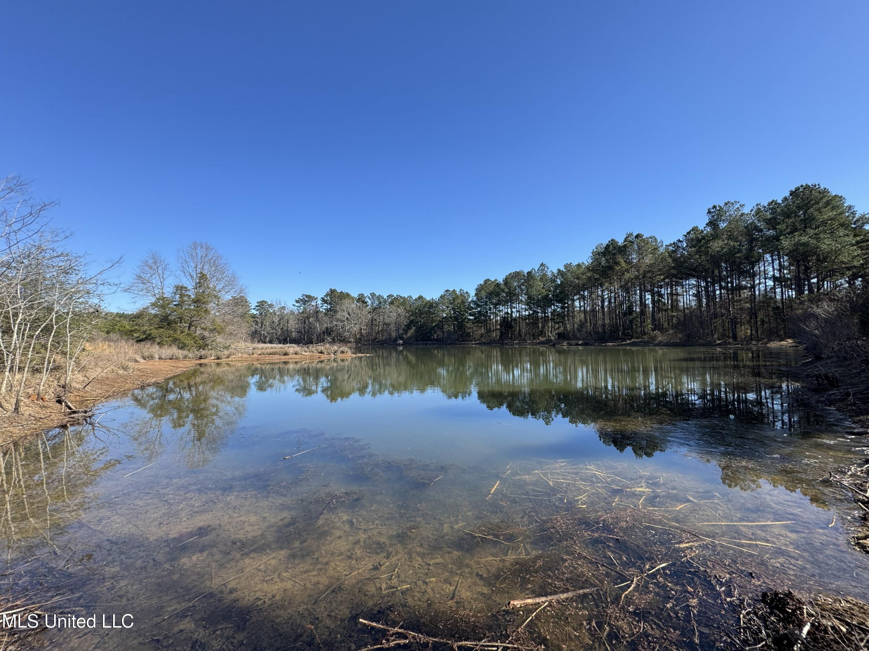 9182 Highway 397 Preston, MS 39354 - Photo 70 of 93 IMG_8225