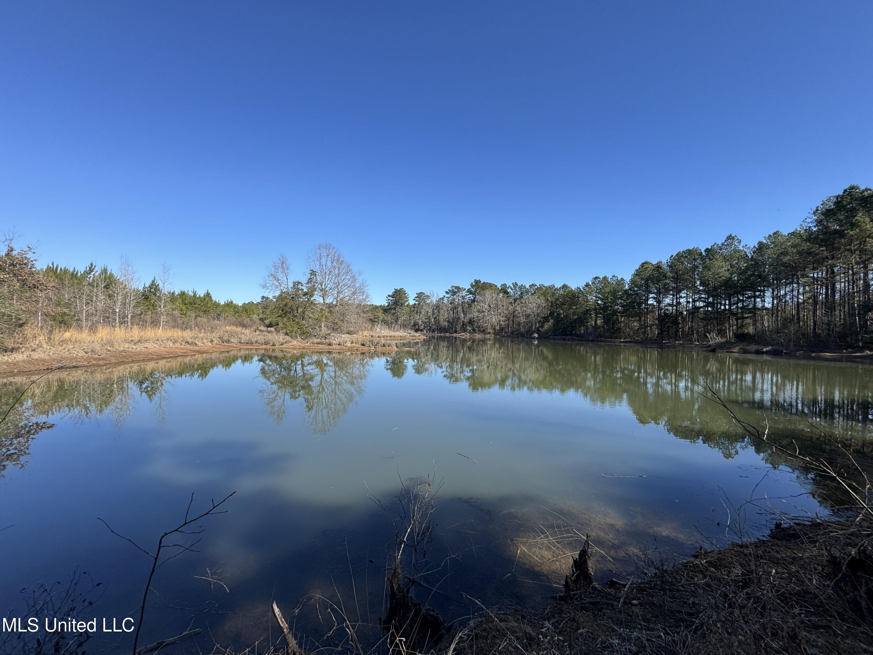 9182 Highway 397 Preston, MS 39354 - Photo 71 of 93 IMG_8228