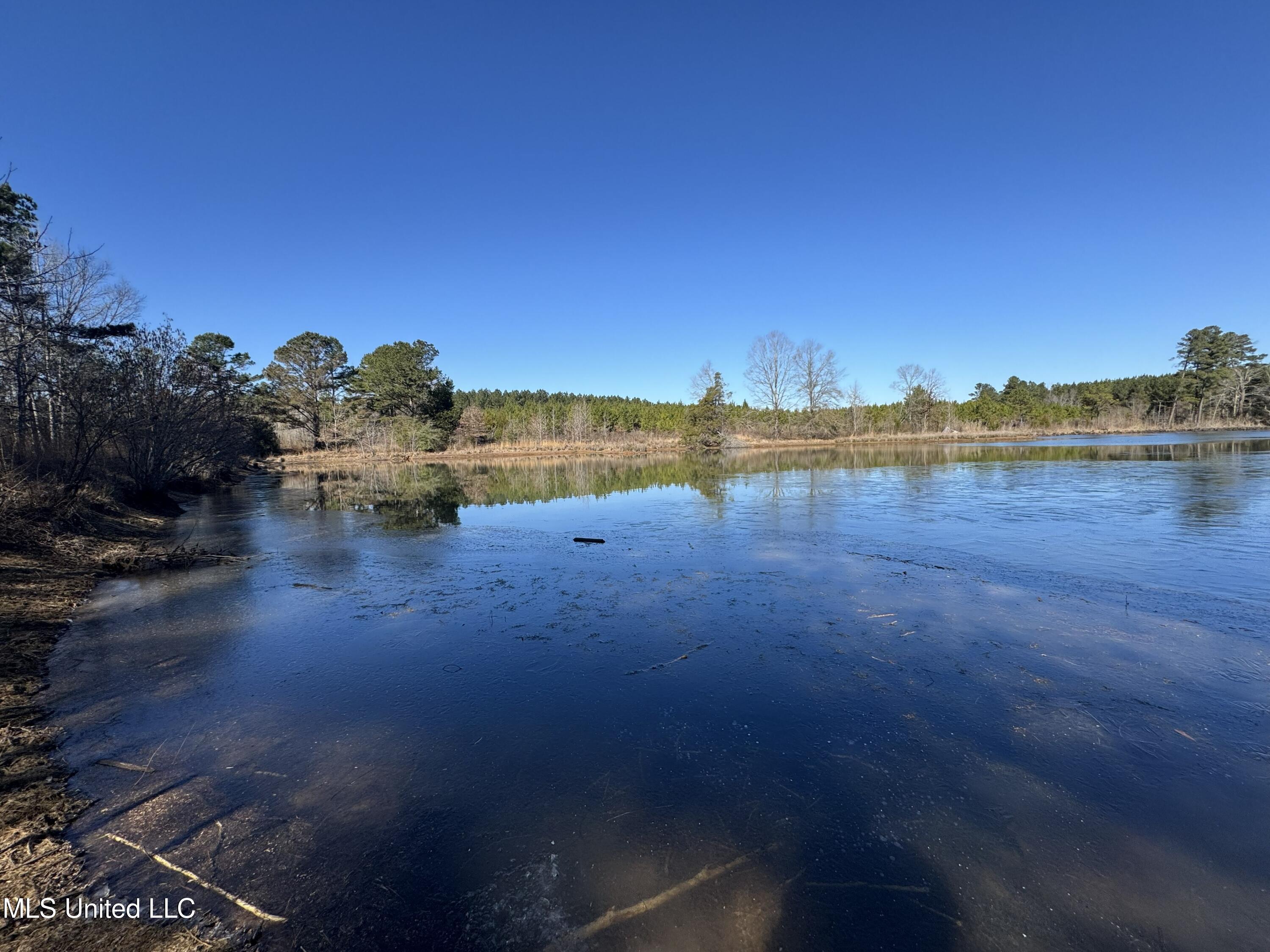 9182 Highway 397 Preston, MS 39354 - Photo 72 of 93 IMG_8233
