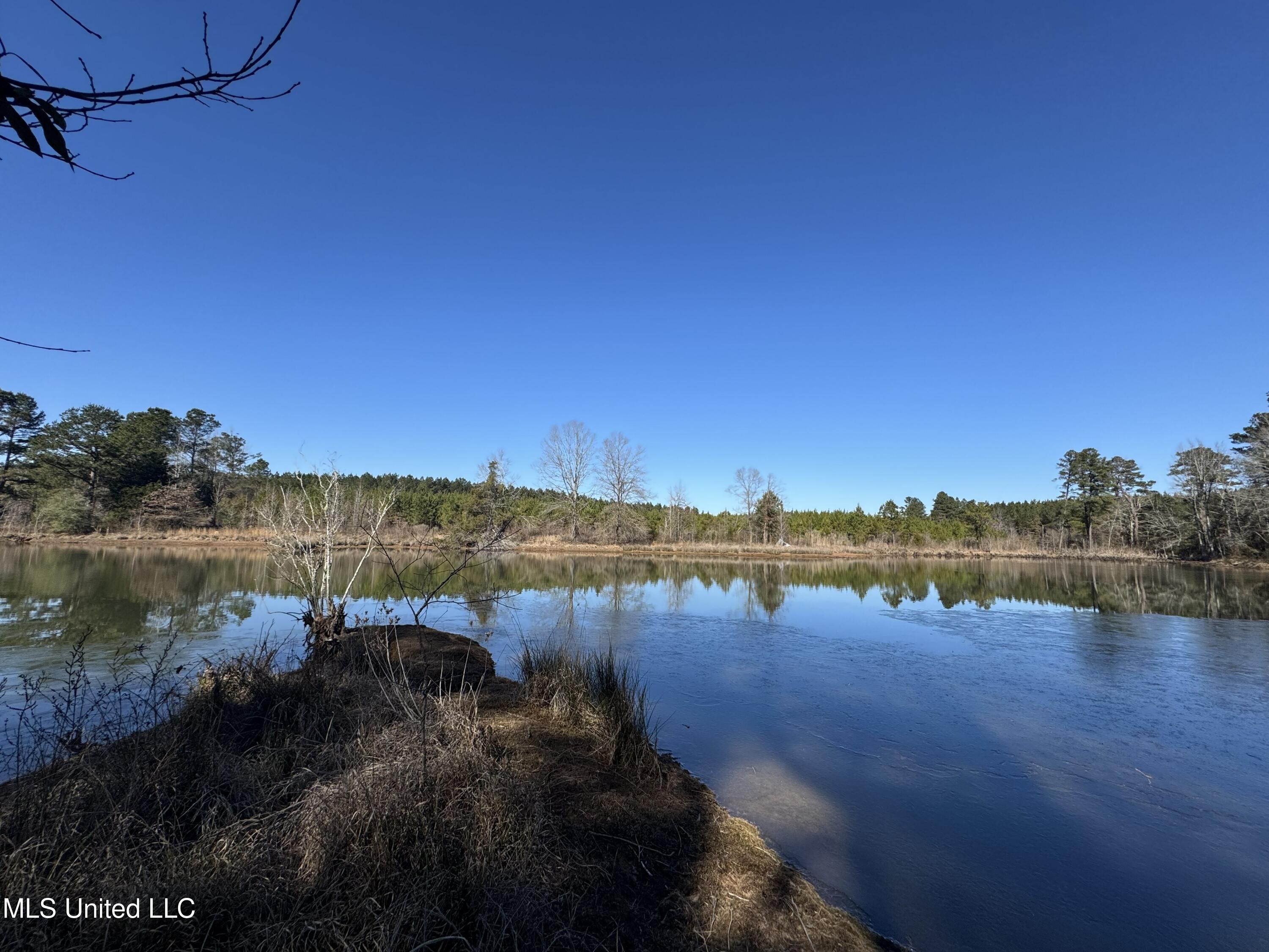 9182 Highway 397 Preston, MS 39354 - Photo 73 of 93 IMG_8237