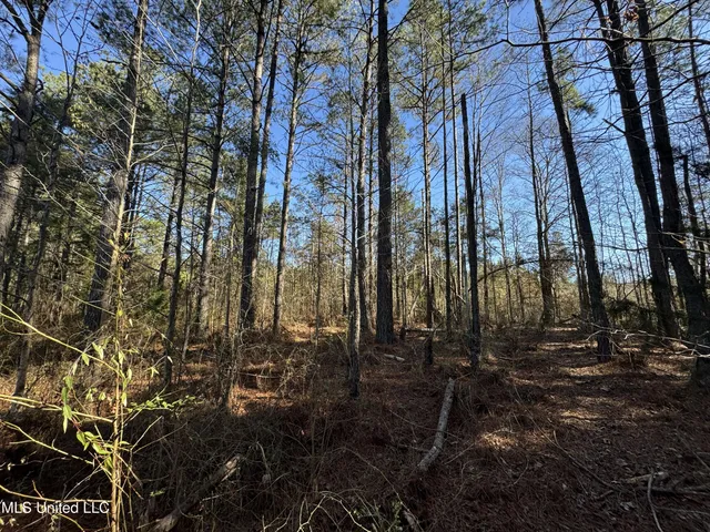 $230,000 | 9182 Highway 397, Preston, MS 39354