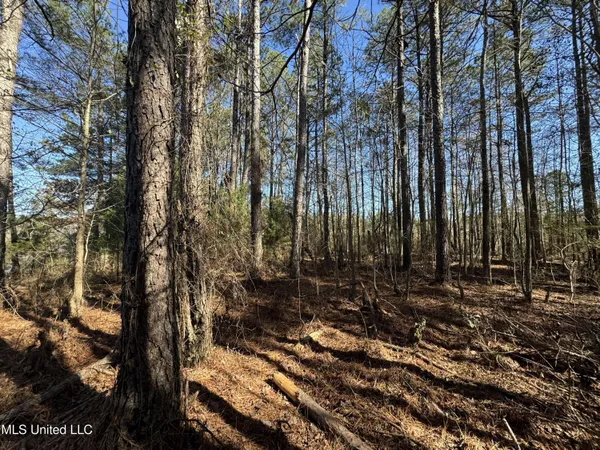 $230,000 | 9182 Highway 397, Preston, MS 39354