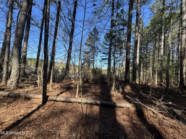 $230,000 | 9182 Highway 397, Preston, MS 39354