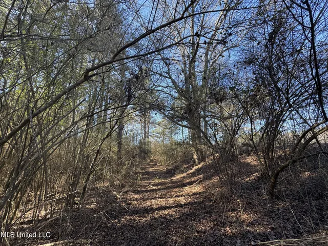 $230,000 | 9182 Highway 397, Preston, MS 39354