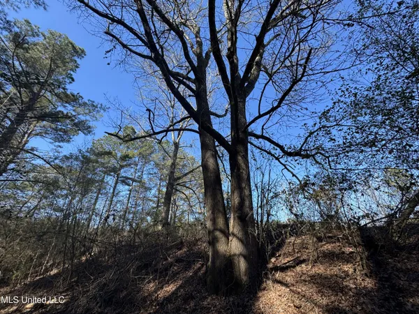 $230,000 | 9182 Highway 397, Preston, MS 39354