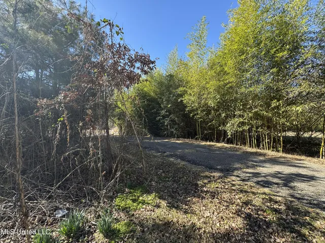 $230,000 | 9182 Highway 397, Preston, MS 39354