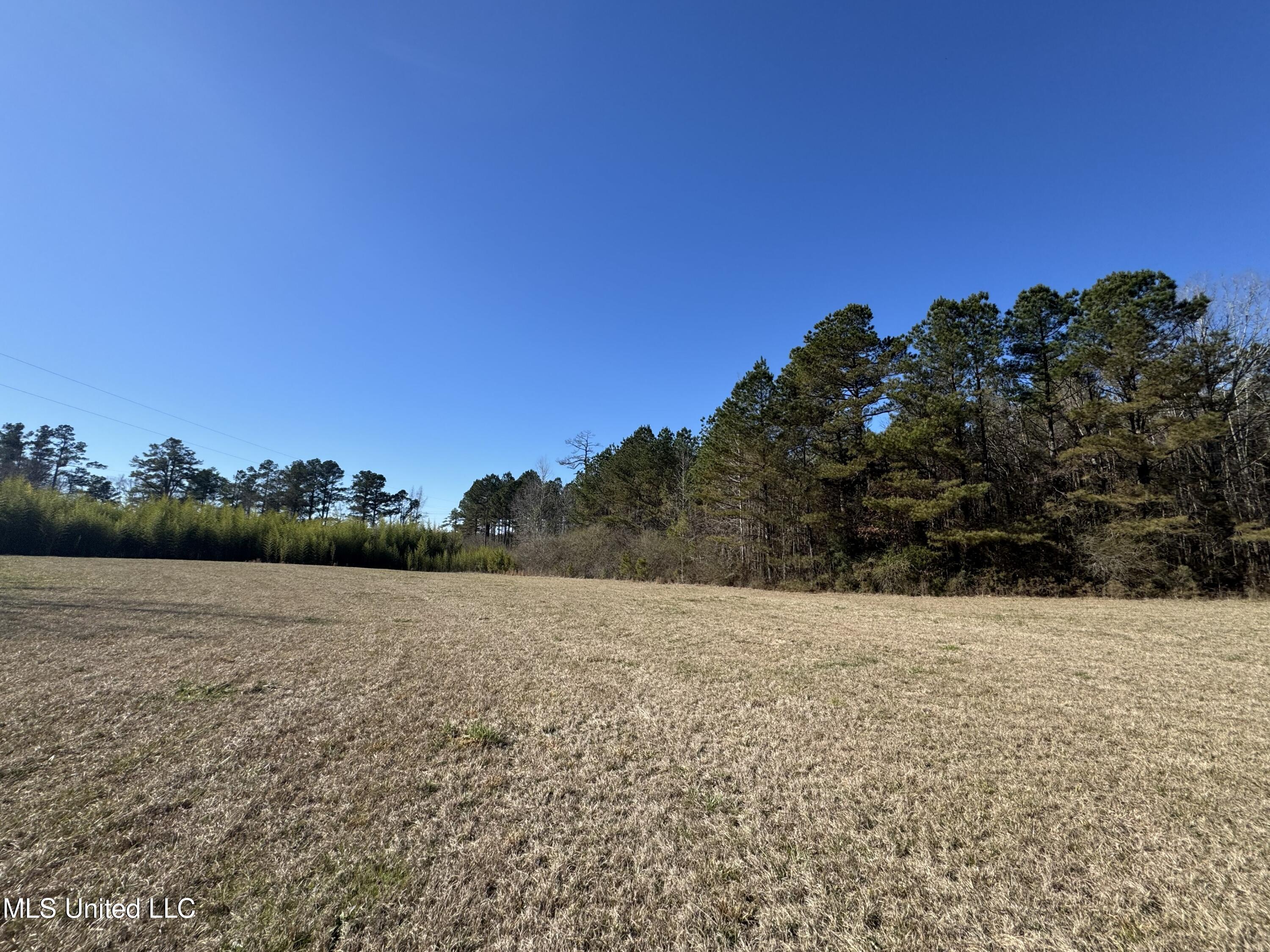 9182 Highway 397 Preston, MS 39354 - Photo 83 of 93 IMG_8152