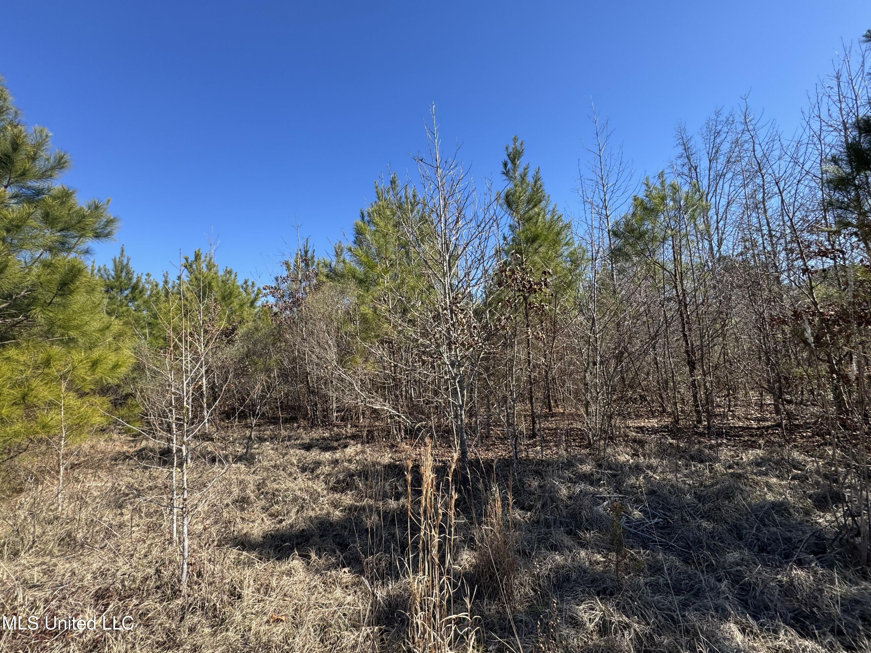 9182 Highway 397 Preston, MS 39354 - Photo 84 of 93 IMG_8172